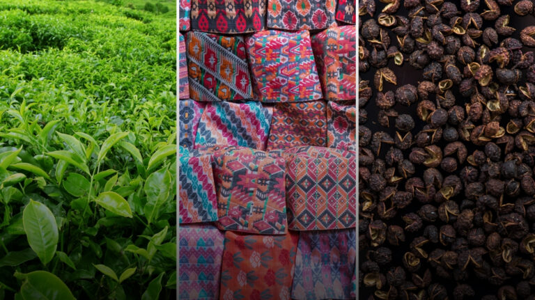 How Missing GI Tags Are Costing Nepal Billions