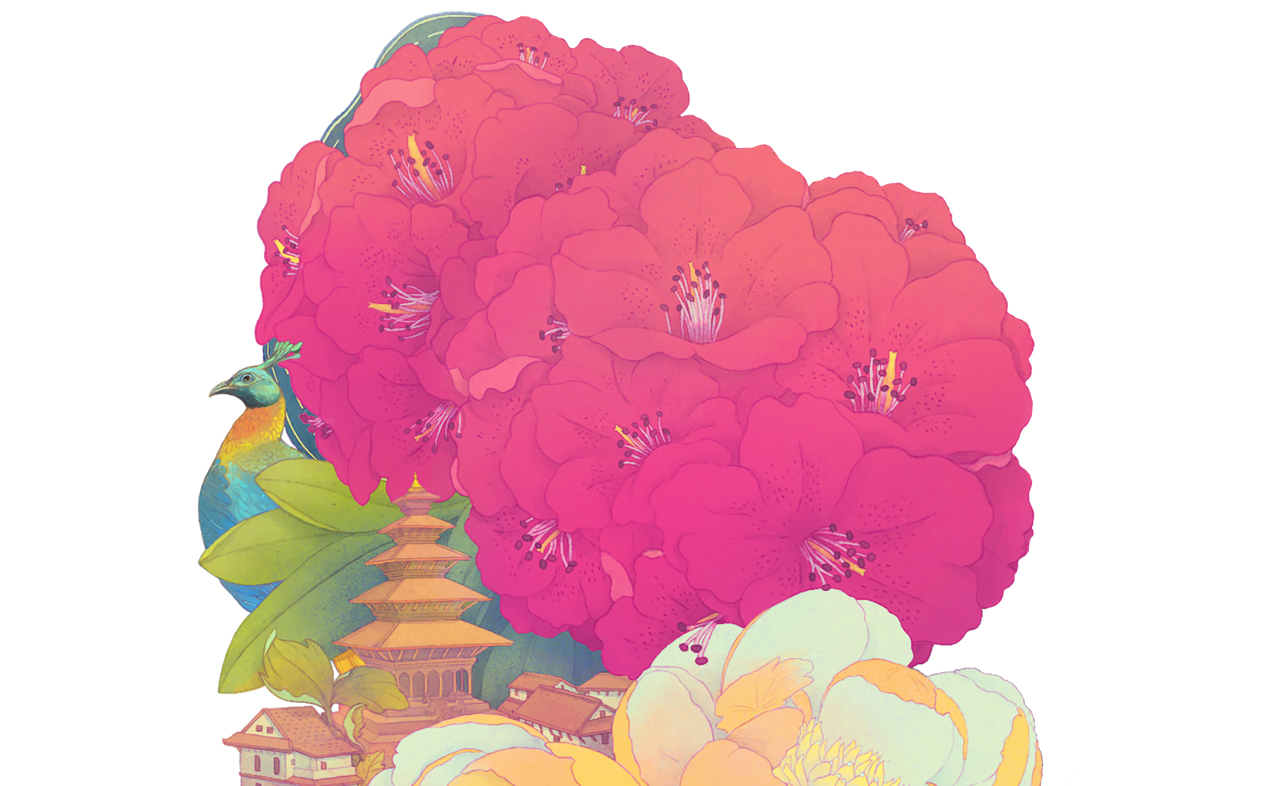 Introduction Banner